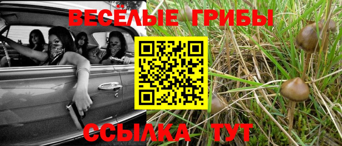 Хасавюрт  Галлюциногенные грибы мицелий  Вход с VPN 